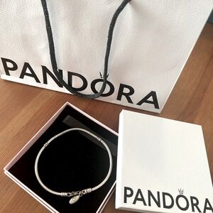 Pandora snake bracelet.
